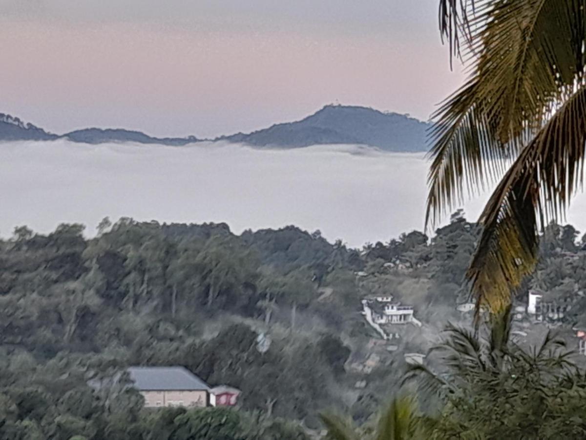 康提Sunset Hills公寓 外观 照片